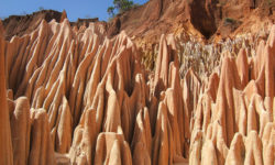 Madagascar – kamenný les, alebo príroda bude vždy viac ako ľudia