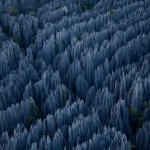Madagascar_06