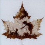 leaf-carving6 leaf-carving6