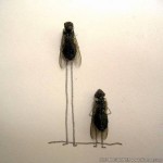 image002