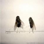 image0061