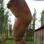 Kam by ste nechceli ísť na dovolenku: Ostrov mŕtvych bábik