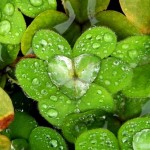 Love-is-Everywhere-Part2-07
