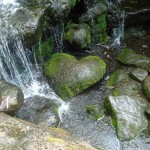 Love-is-Everywhere-Part2-11