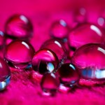 BeautifulDewDrops5