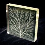 lichtenberg-figure_HSAyB_11446