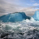penguins-on-blue-iceberg