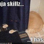 ninja macky haluze zabava nuda ninja cat weblinks_sk30 ninja macky haluze zabava nuda ninja cat weblinks_sk30