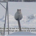 ninja macky haluze zabava nuda ninja cat weblinks_sk31 ninja macky haluze zabava nuda ninja cat weblinks_sk31