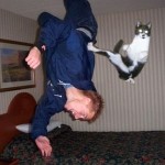 ninja macky haluze zabava nuda ninja cat weblinks_sk6 ninja macky haluze zabava nuda ninja cat weblinks_sk6