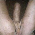 weblinks_sk haluze zabava nuda fun1 weblinks_sk haluze zabava nuda fun1