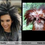weblinks_sk haluze zabava26