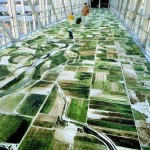 google-earth-carpet-big google-earth-carpet-big