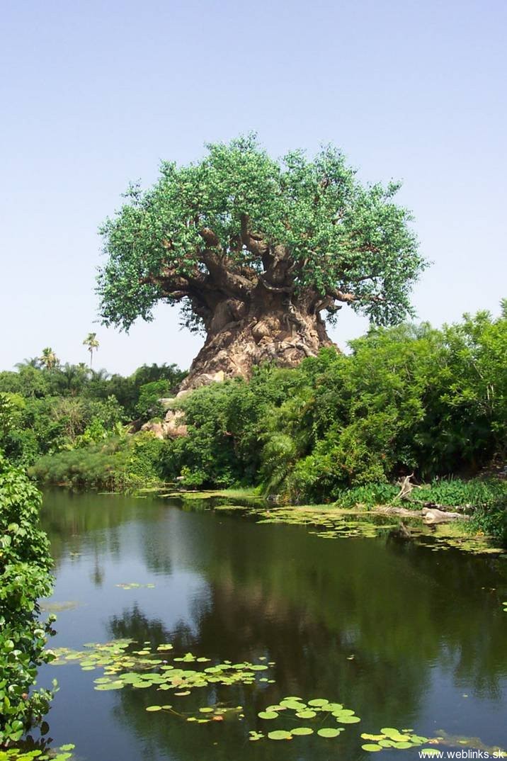 Strom prerastený zvieratami