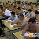 Obrázkoviny, haluze, čodopinky 24: EXTRA PORCIA Obrázkoviny, haluze, čodopinky 24: EXTRA PORCIA