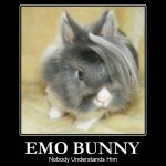 emo-bunny emo-bunny