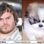 lookalikes00024 lookalikes00024