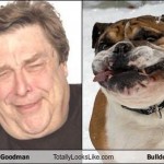 lookalikes00026 lookalikes00026