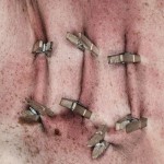 painful-way-to-learn-alphabet23 painful-way-to-learn-alphabet23