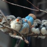 12kreatívnych foto pre potešenie očných zreničiek 12kreatívnych foto pre potešenie očných zreničiek