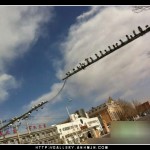 weblinks sk haluze azia obrazkoviny38_16