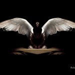 Fallen Angels