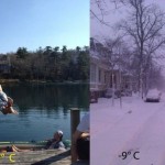 Haluze a obrázkoviny Haluze a obrázkoviny