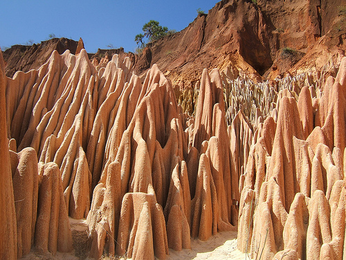 Madagascar – kamenný les, alebo príroda bude vždy viac ako ľudia